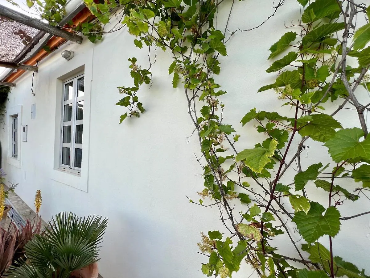 Pequeno Paraiso, 6 Guests, Sao Bras De Alportel Villa