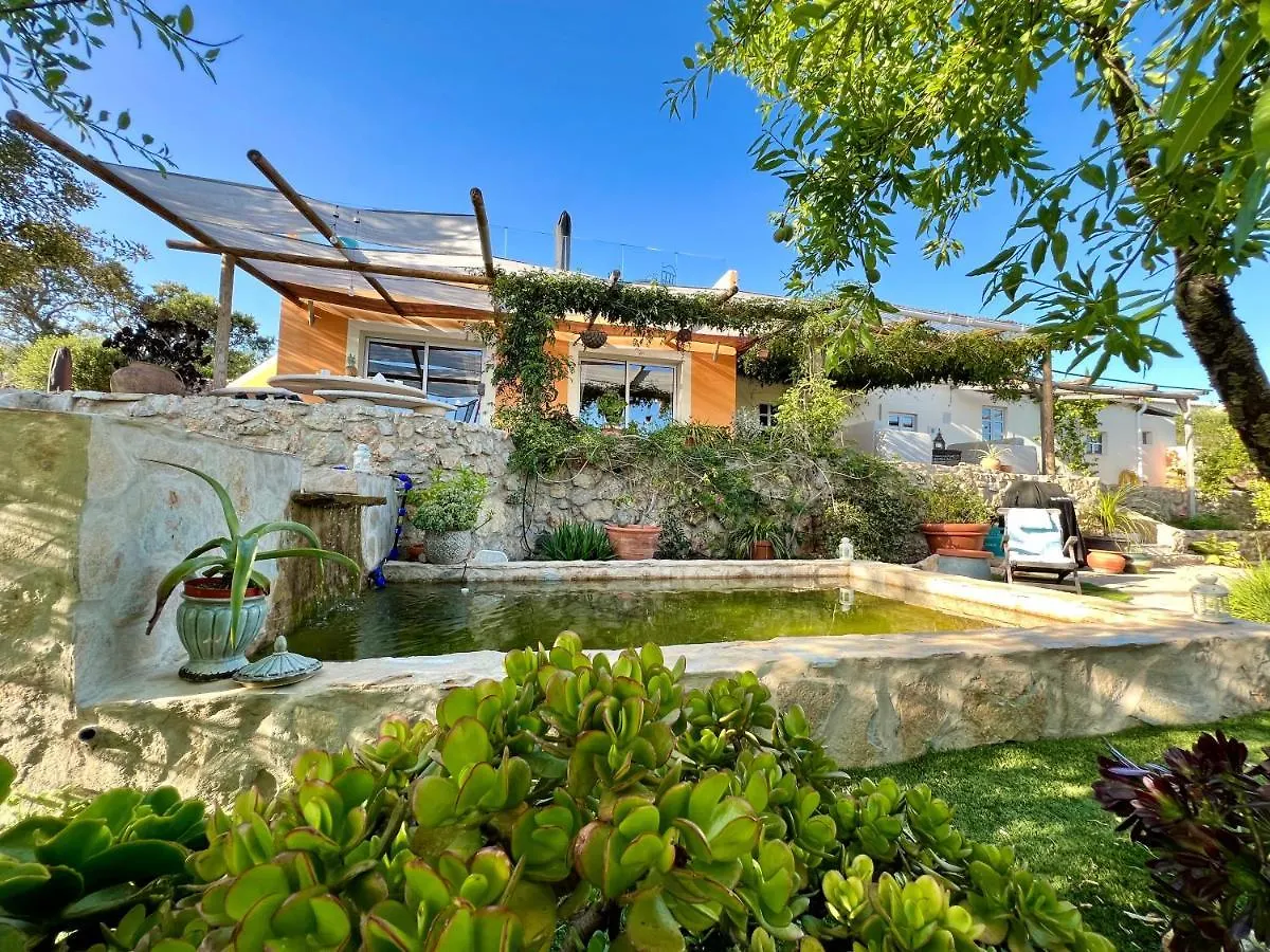 Pequeno Paraiso, 6 Guests, Sao Bras De Alportel Portugal